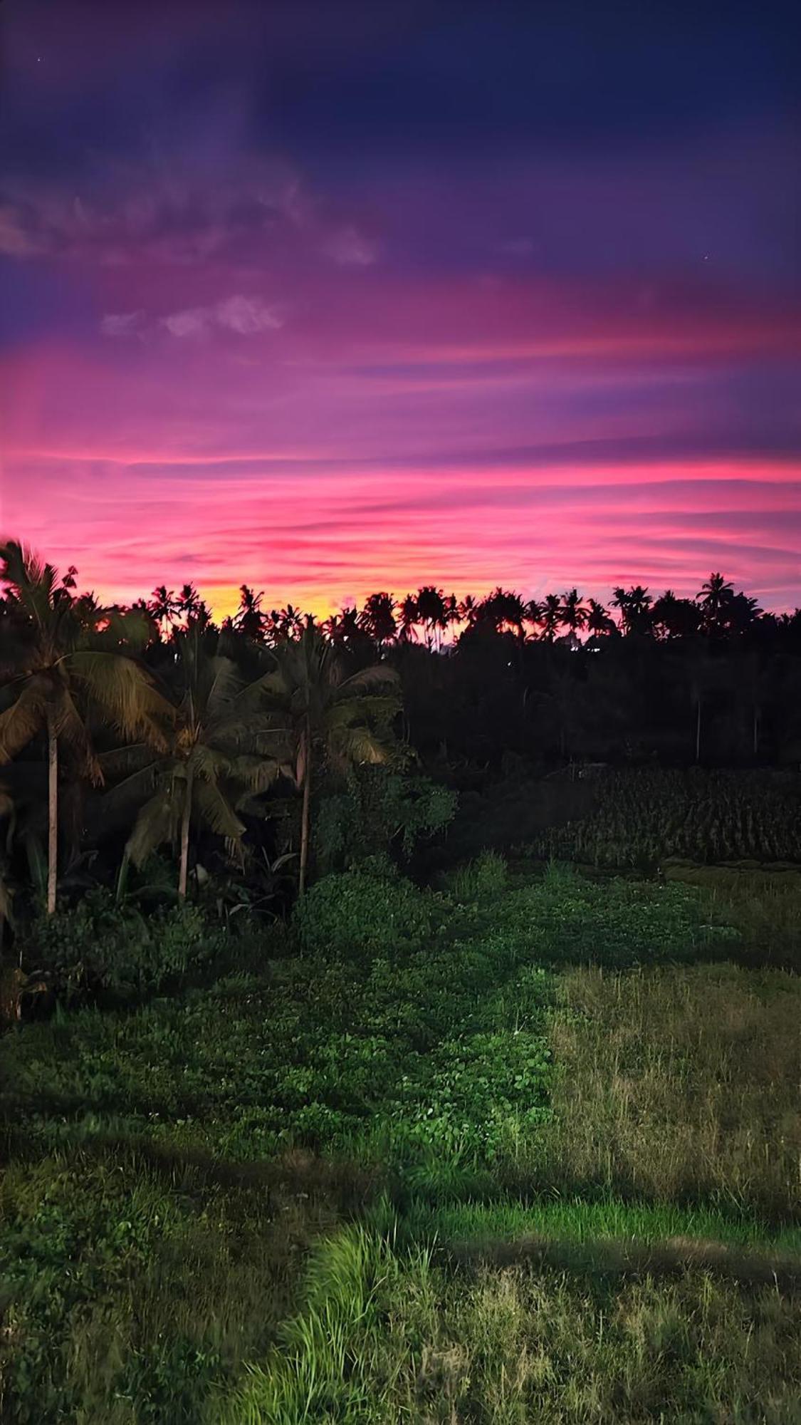 Wadari Retreat Villa Ubud Luaran gambar